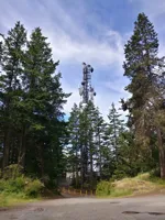 tower.webp