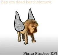 image.webp
