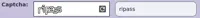 ripass.webp
