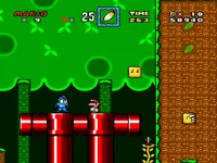 random_mario_hack-20230502121255-230508-203428.webp